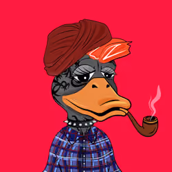Slacker Duck #5778
