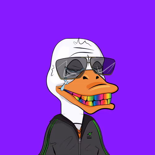 Slacker Duck #3772