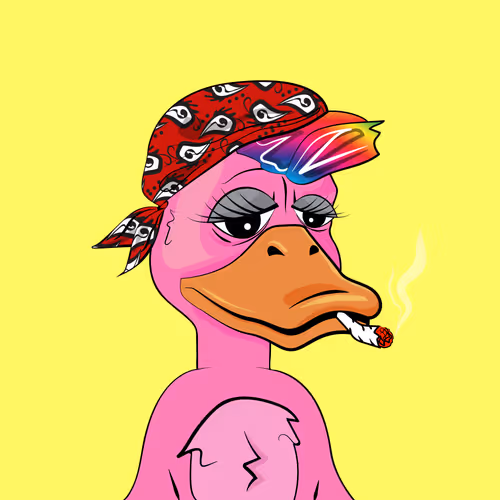 Slacker Duck #5950