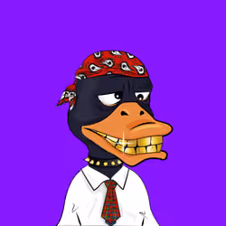 Slacker Duck #2134