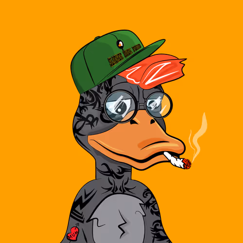 Slacker Duck #1596