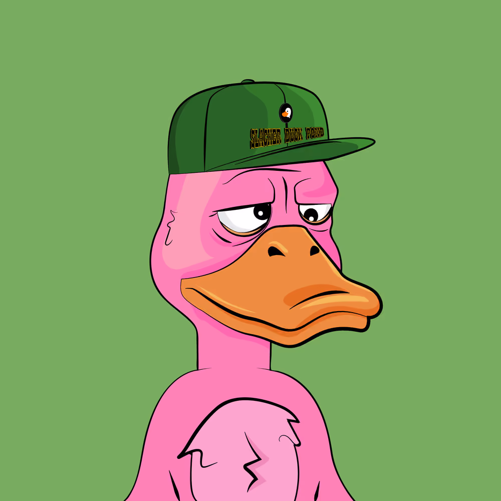 Slacker Duck #5963