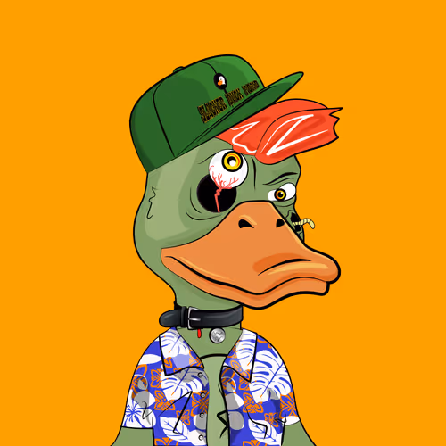 Slacker Duck #4971