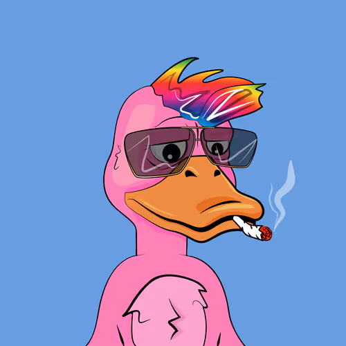 Slacker Duck #2805