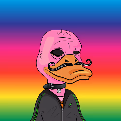 Slacker Duck #71