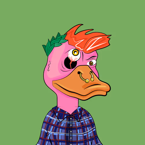 Slacker Duck #5651