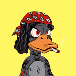 Slacker Duck #1701