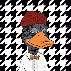 Slacker Duck #5855