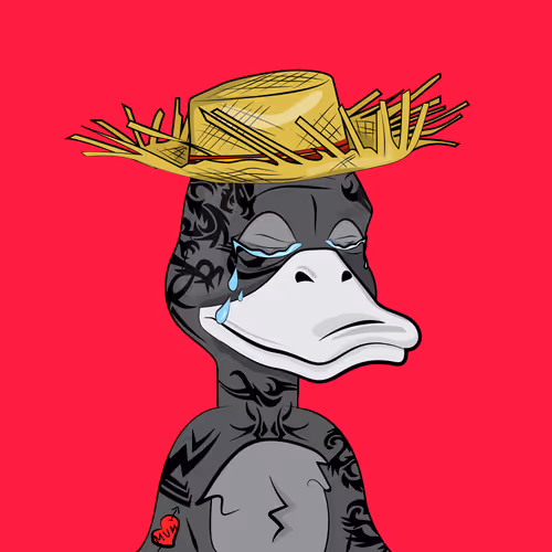Slacker Duck Pond