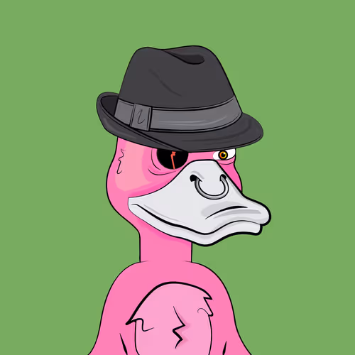 Slacker Duck #3934