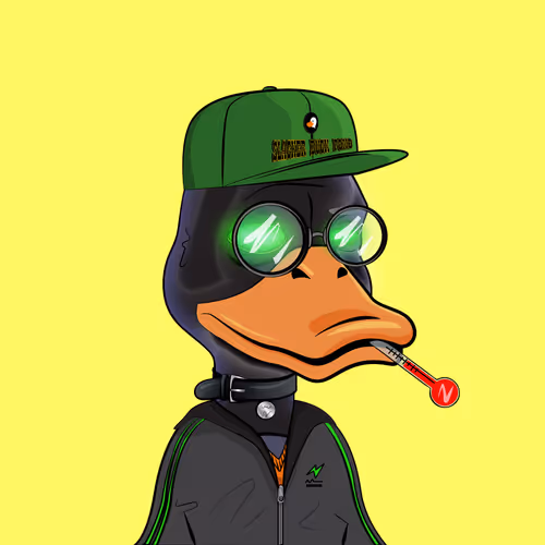 Slacker Duck Pond