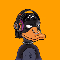 Slacker Duck #512