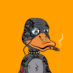 Slacker Duck #4831