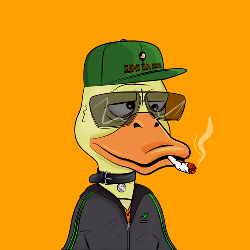 Slacker Duck #2473
