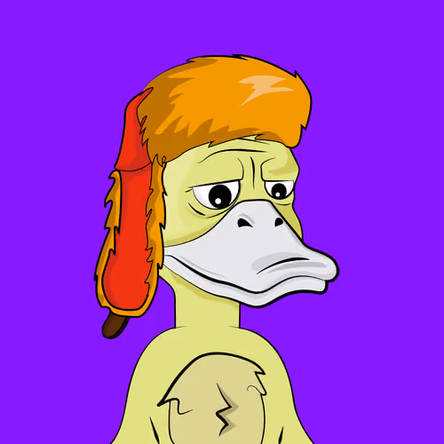 Slacker Duck #5986