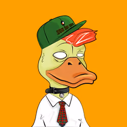 Slacker Duck #2665