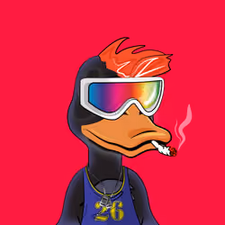 Slacker Duck #3904