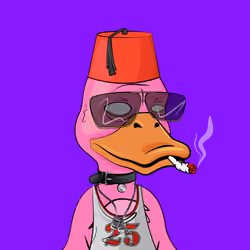 Slacker Duck #4829