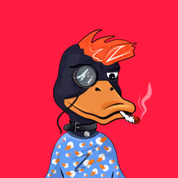 Slacker Duck #2120