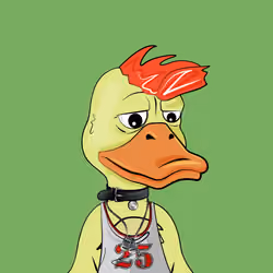 Slacker Duck #2570
