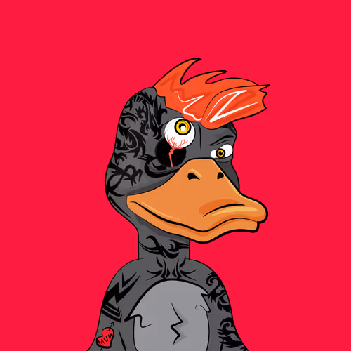 Slacker Duck #1620