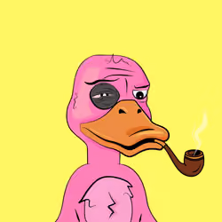 Slacker Duck #16