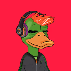 Slacker Duck #1386