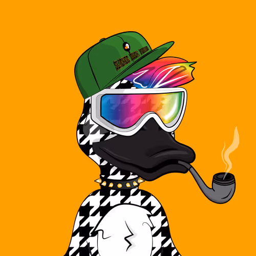 Slacker Duck #2307