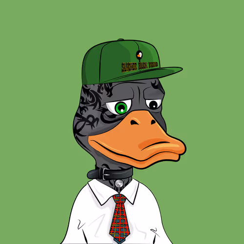Slacker Duck #4999