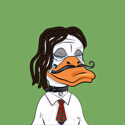 Slacker Duck #1126