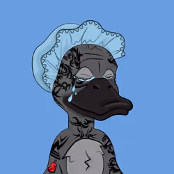 Slacker Duck #2899