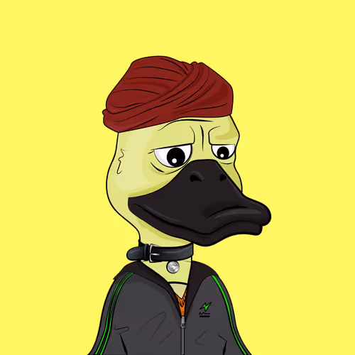 Slacker Duck #3212