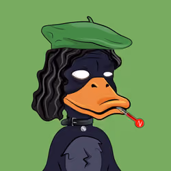 Slacker Duck #4884