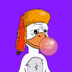 Slacker Duck #4990