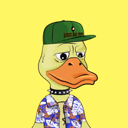 Slacker Duck #3097
