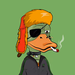 Slacker Duck #1088