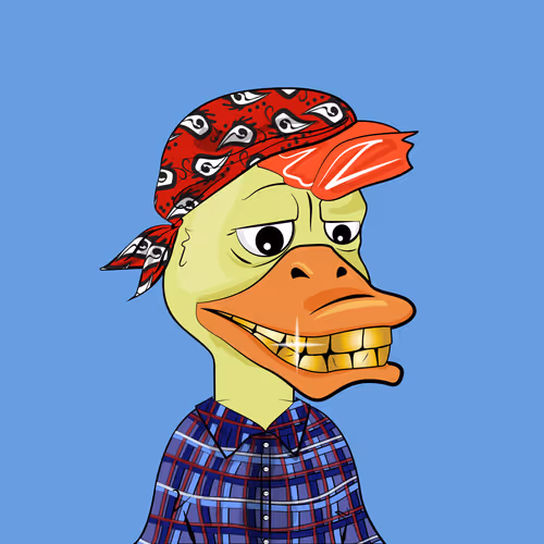 Slacker Duck #3898