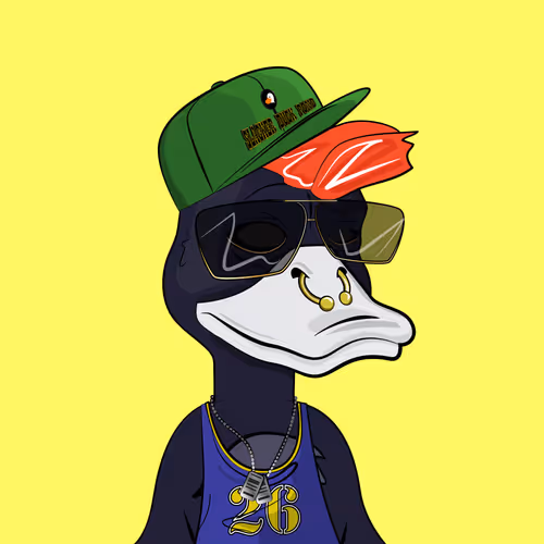 Slacker Duck #510