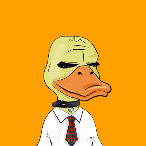 Slacker Duck #2544
