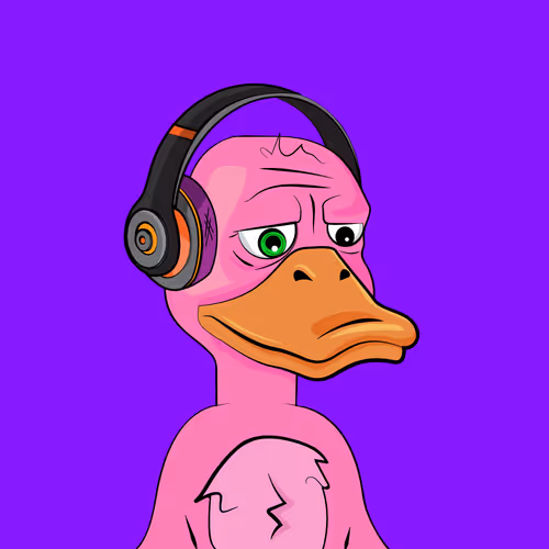Slacker Duck #1884