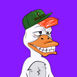 Slacker Duck #2894