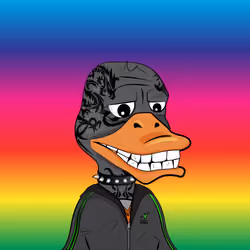 Slacker Duck #802