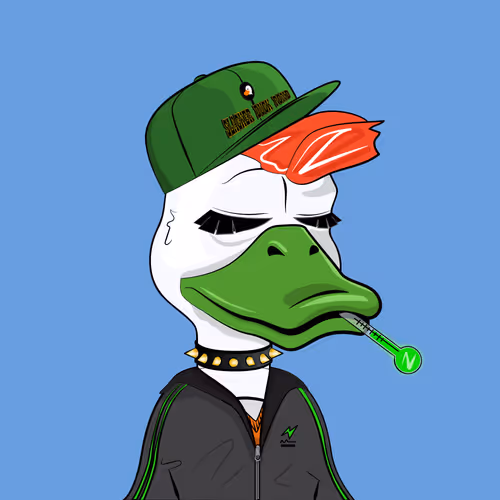 Slacker Duck #5955