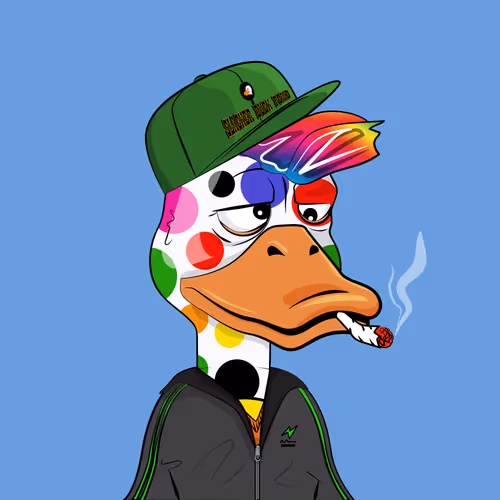 Slacker Duck #4243