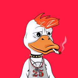 Slacker Duck #308