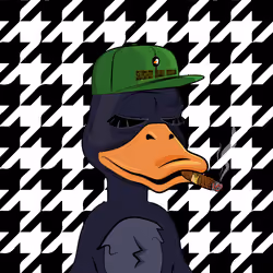 Slacker Duck #3308