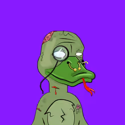 Slacker Duck #2972