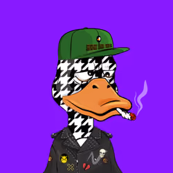 Slacker Duck #4953