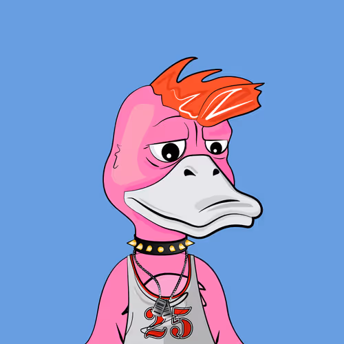 Slacker Duck #2977
