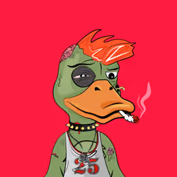 Slacker Duck #2571
